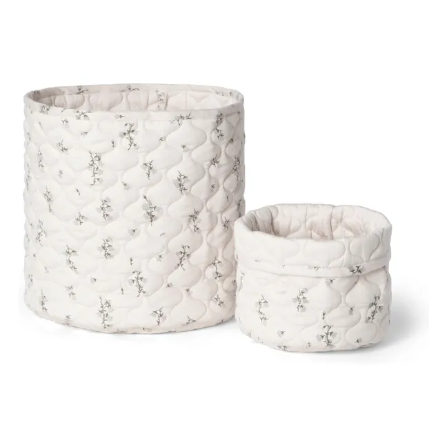 Cesta Bluebell