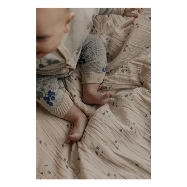 Viola blanket