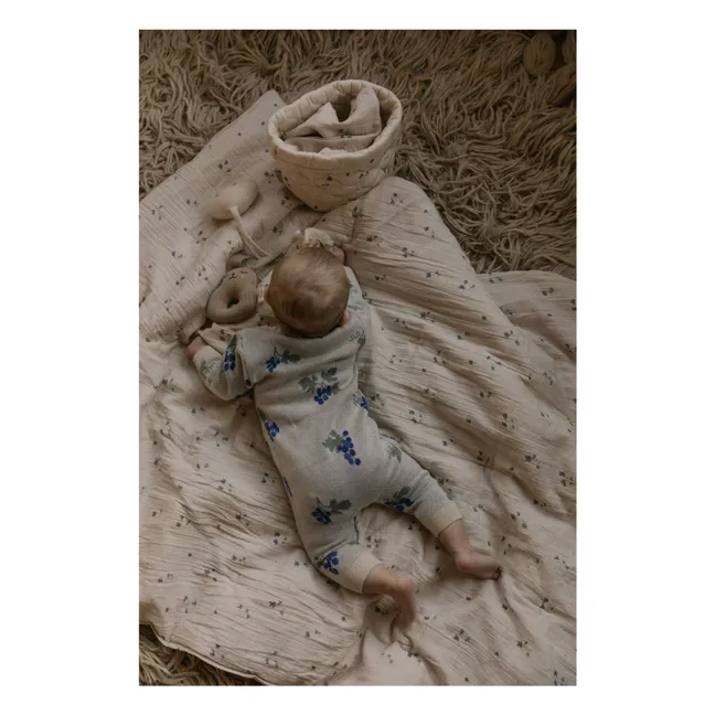 Viola blanket