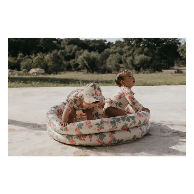 Piscina gonfiabile Uva Rosa