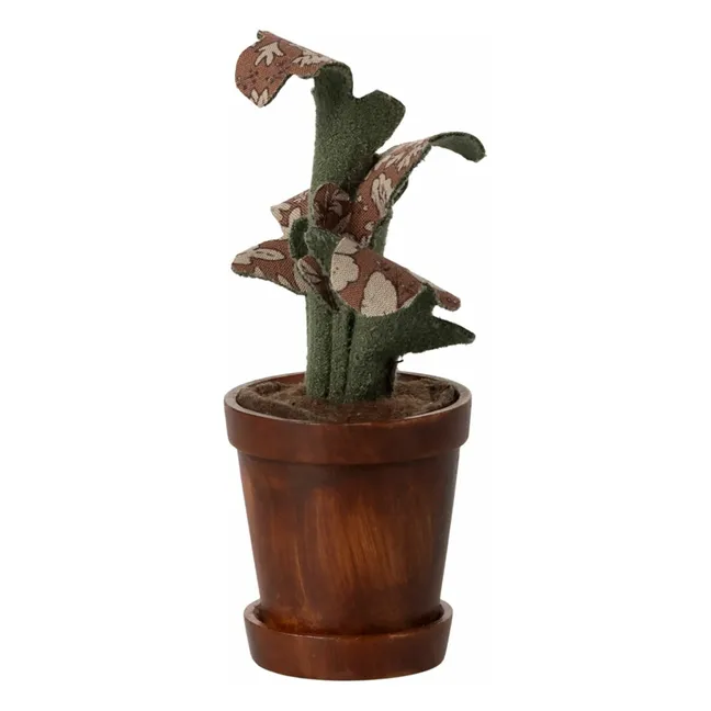 Plante dans son pot