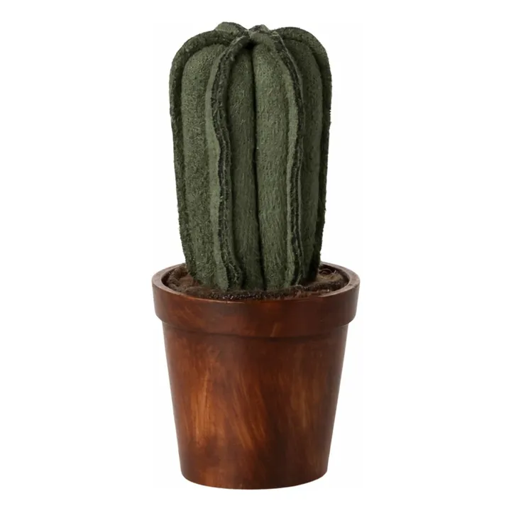 Cactus en su maceta- Imagen del producto n°0