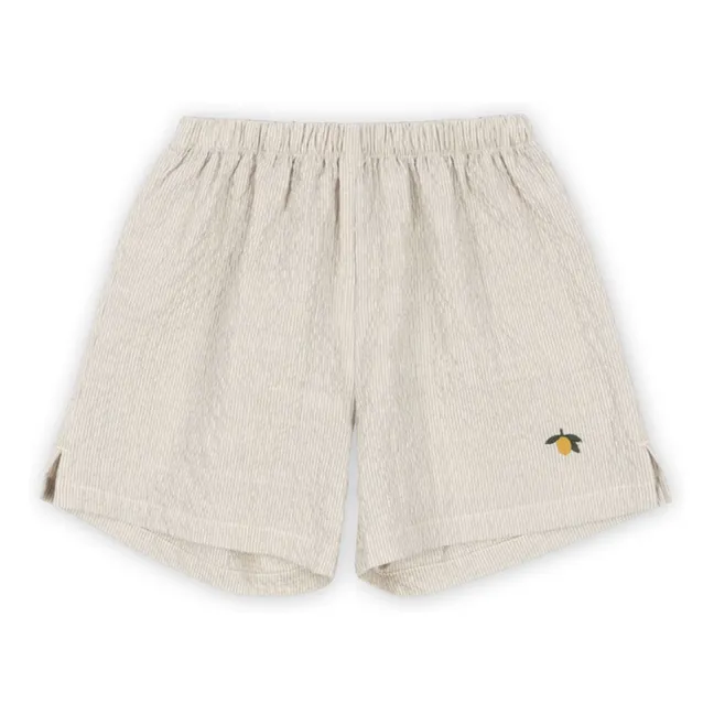 Short Elliot Coton Bio | Ecru