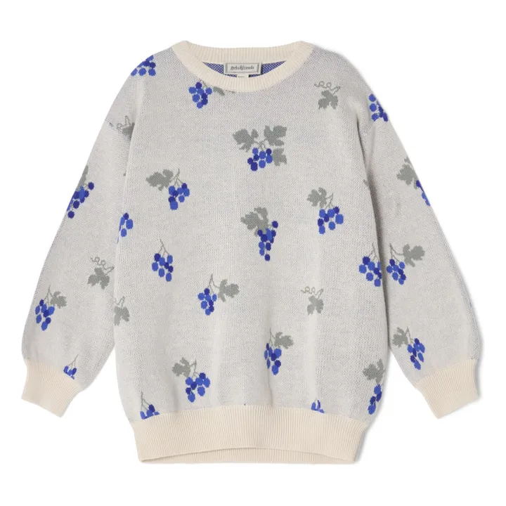 Felpa in maglia con uvetta | Blu- Immagine del prodotto n°0