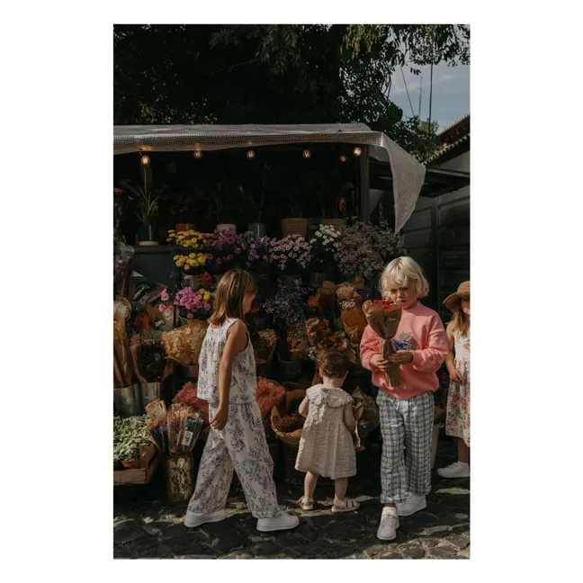 Jardim-Hose | Seidenfarben