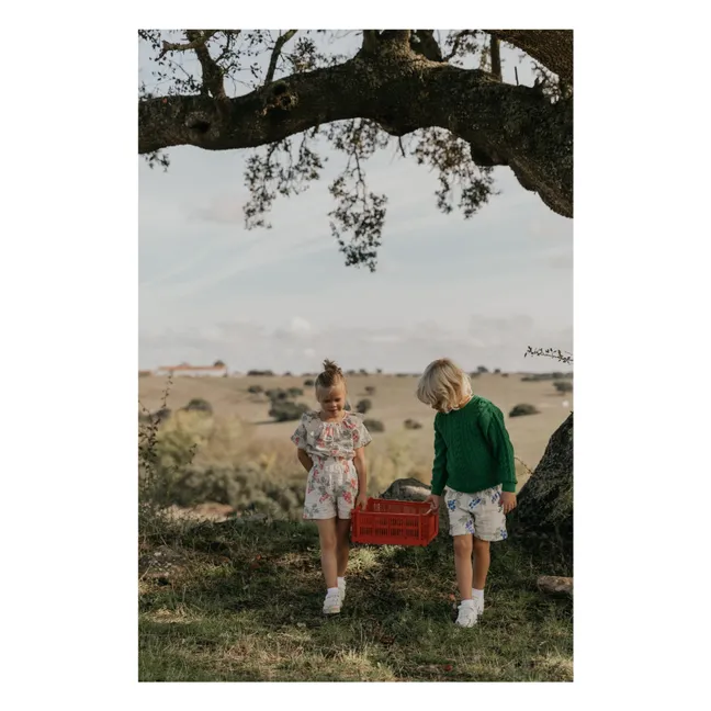 Pull Torsade Coton Bio | Vert