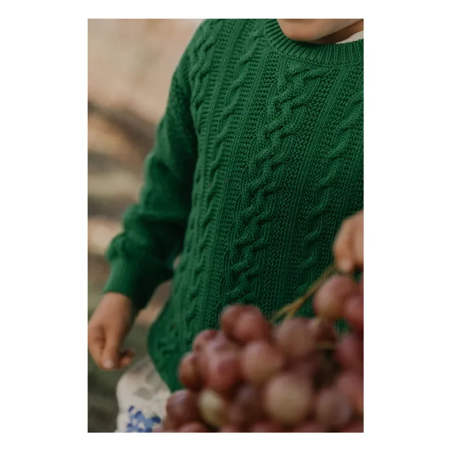Pull Torsade Coton Bio | Vert