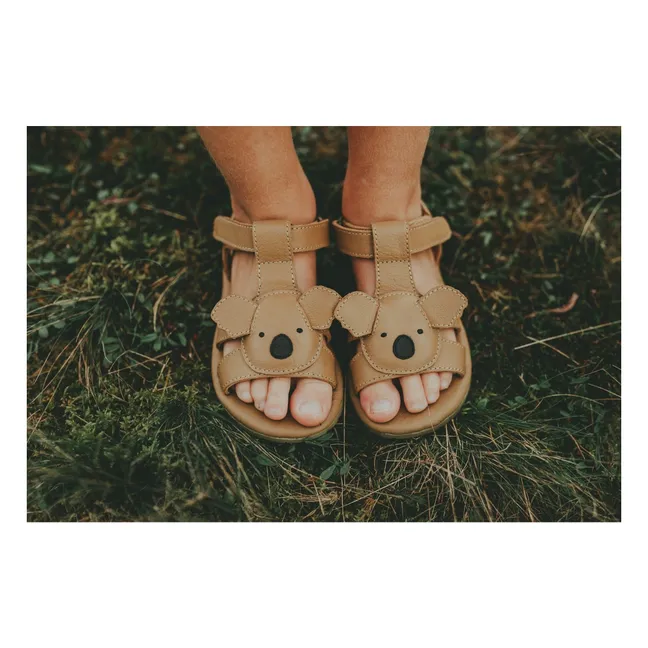 Dhalo Koala Sandalen | Braun