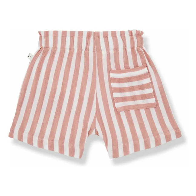 Giotto shorts | Coral