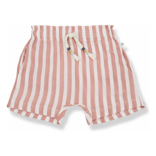 Giotto shorts | Coral