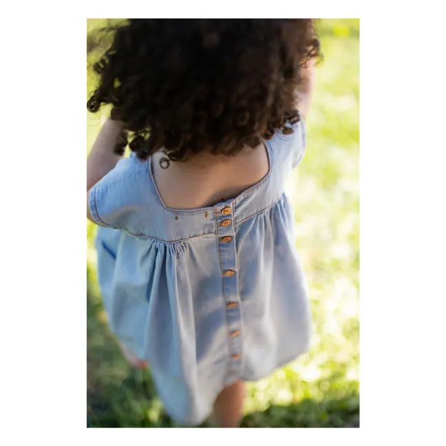 Carlotta dress | Denim