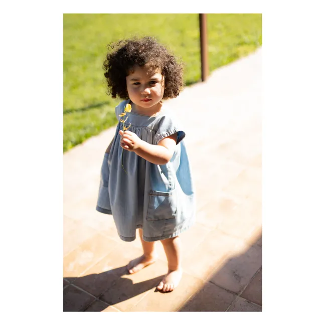 Carlotta dress | Denim