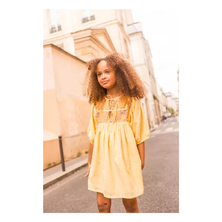 Paula dress | Yellow- Product image n°4