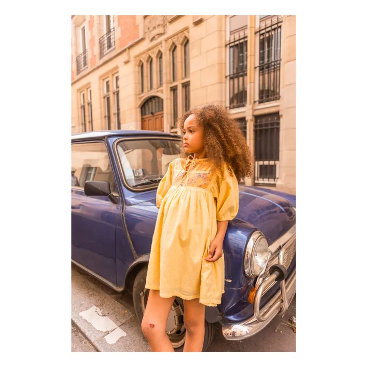 Paula dress | Yellow- Product image n°3
