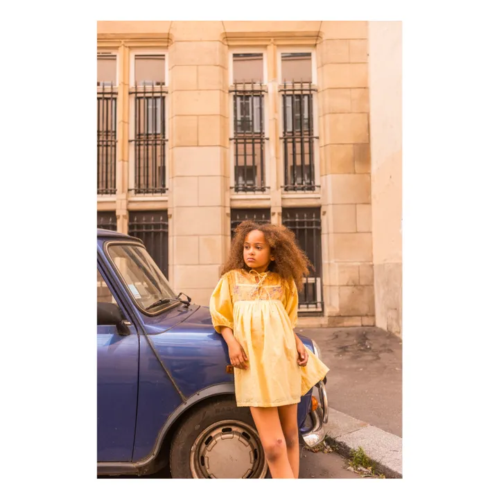 Paula dress | Yellow- Product image n°2