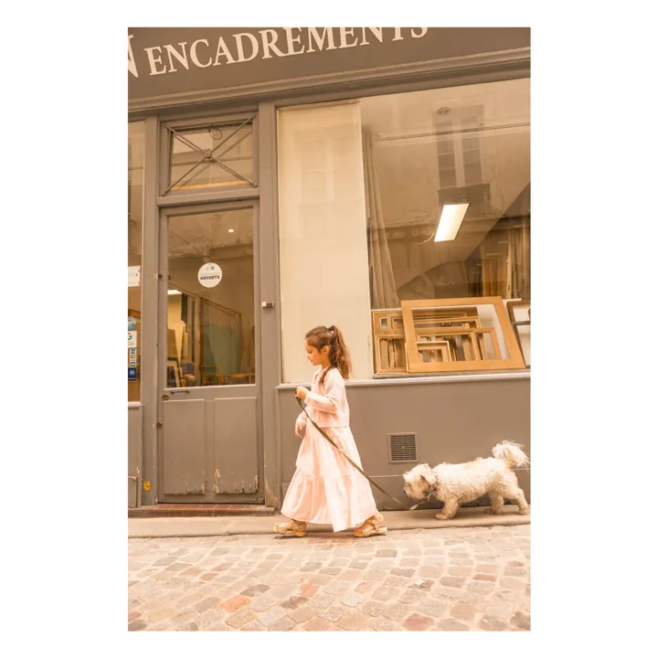 Robe Maria | Rose- Image produit n°6