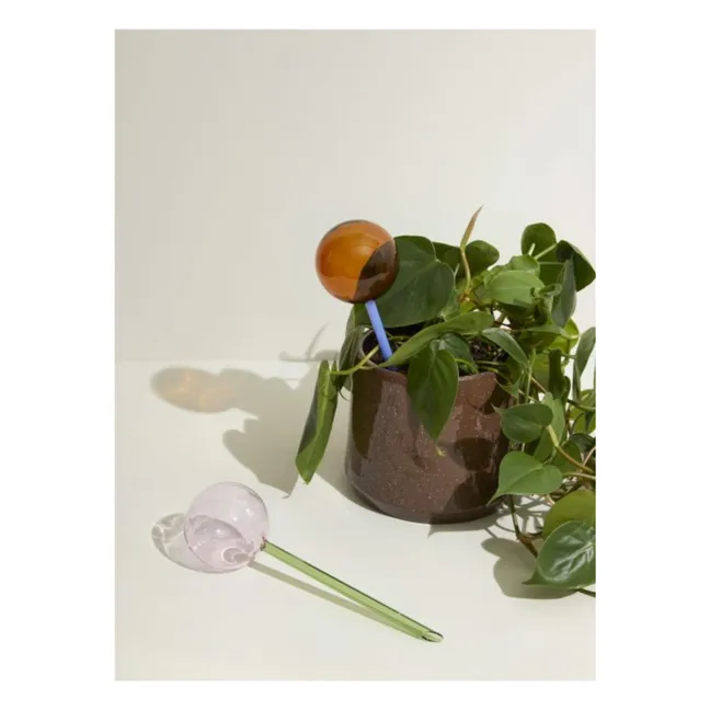 Globe d'arrosage en verre Flora  | Rose
