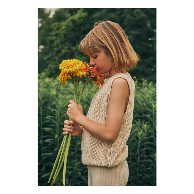 Cranberry Sleeveless Sweater | Pale yellow
