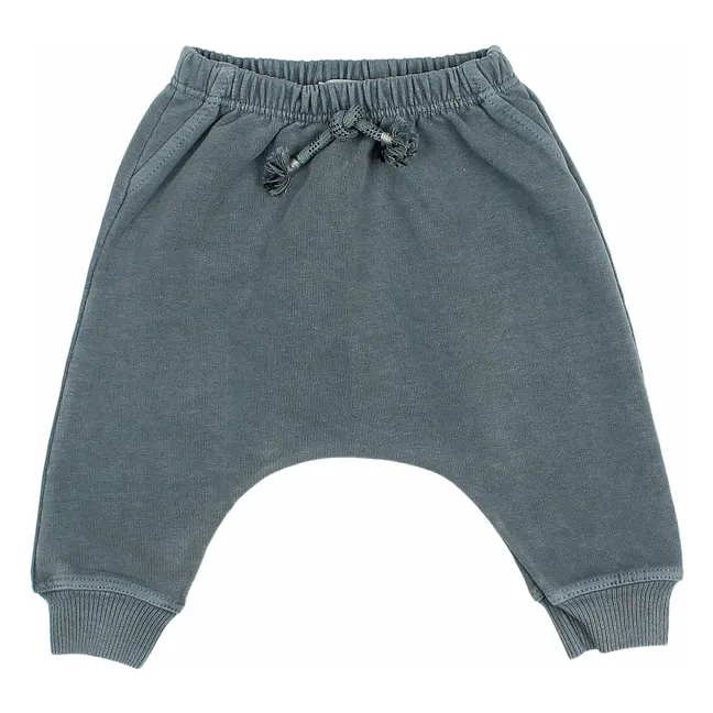 Jogger Coton Bio | Bleu gris