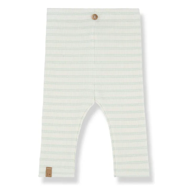 Leggings Cora | Verde acqua