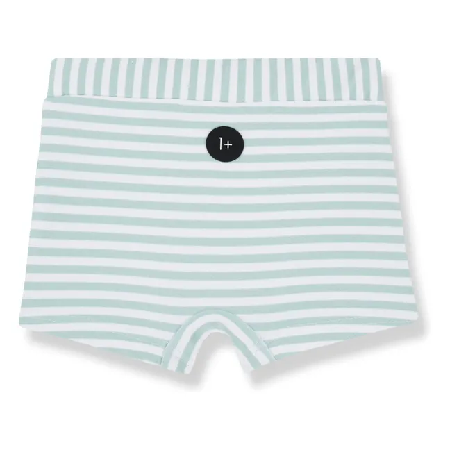 Milo Swim Shorts | Green water