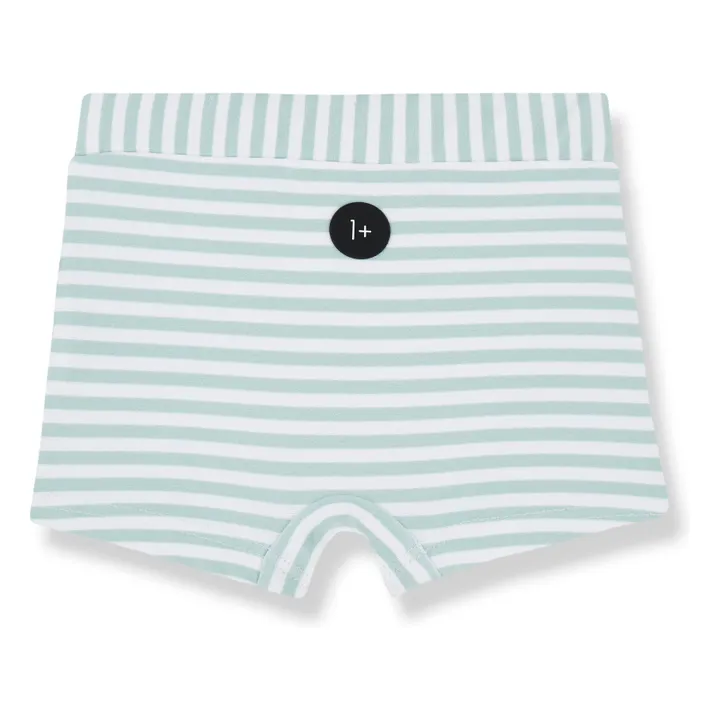 Milo Swim Shorts | Green water- Product image n°1