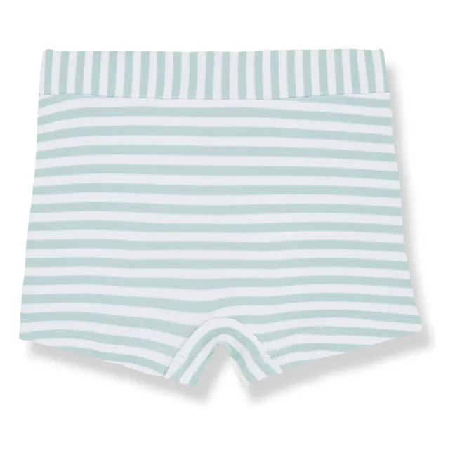 Milo Swim Shorts | Green water