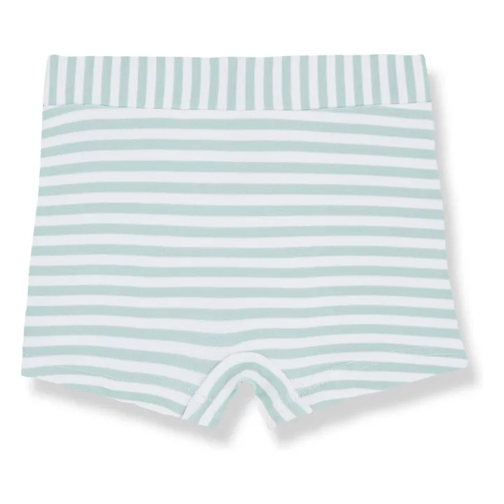 Milo Swim Shorts | Green water- Product image n°0
