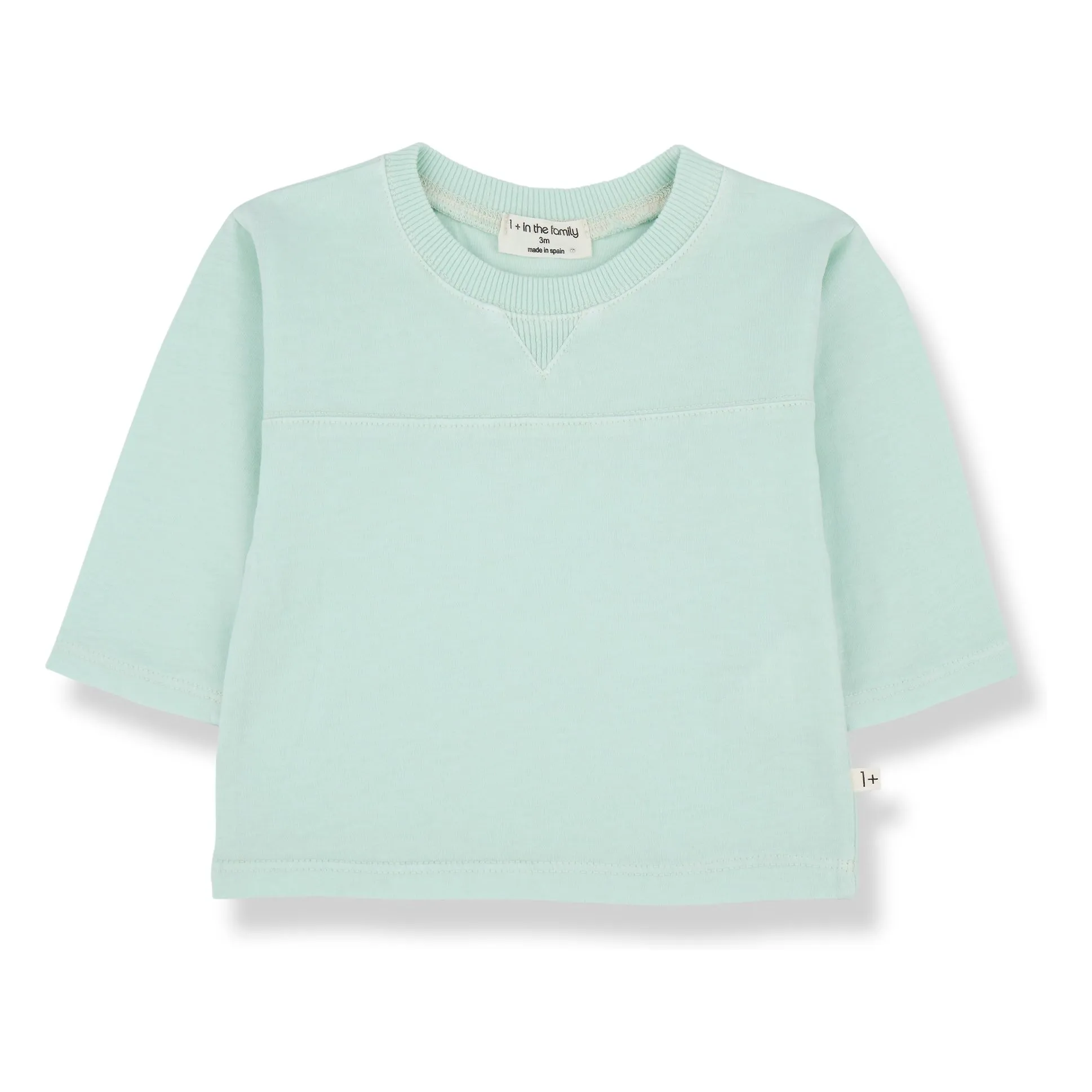 1+ In The Family Green Water Roc T-Shirt