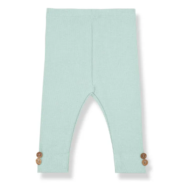 Legging Sina | Green water