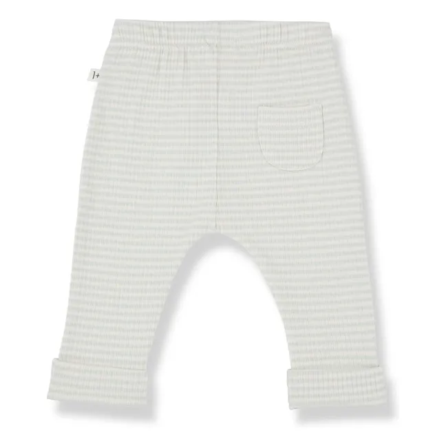 Hugo pants | Green water