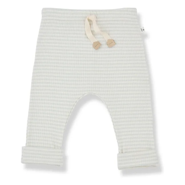 Hugo pants | Green water