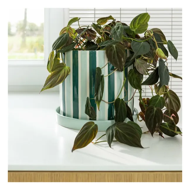 Cache-pot Clash Stripe | Vert
