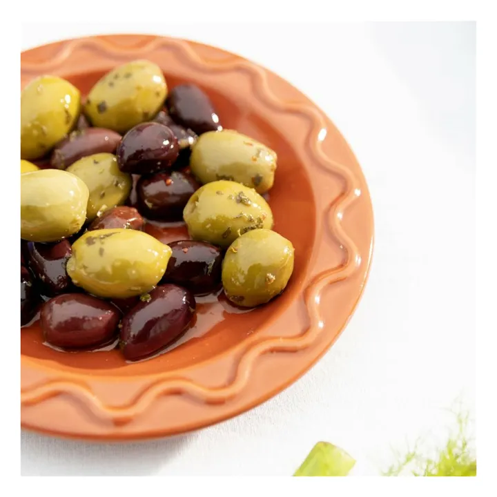 Platos Mochi - Lote de 2 | Ladrillo- Imagen del producto n°2