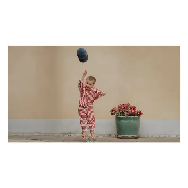 Felpa Alvin Stripe in cotone biologico | Rosso