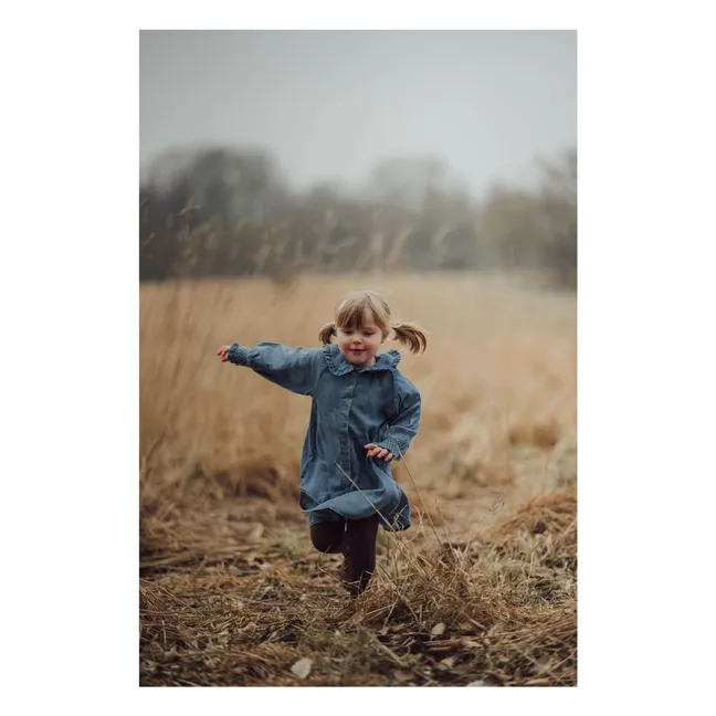 Balou Recycled Fiber Dress | Denim blue
