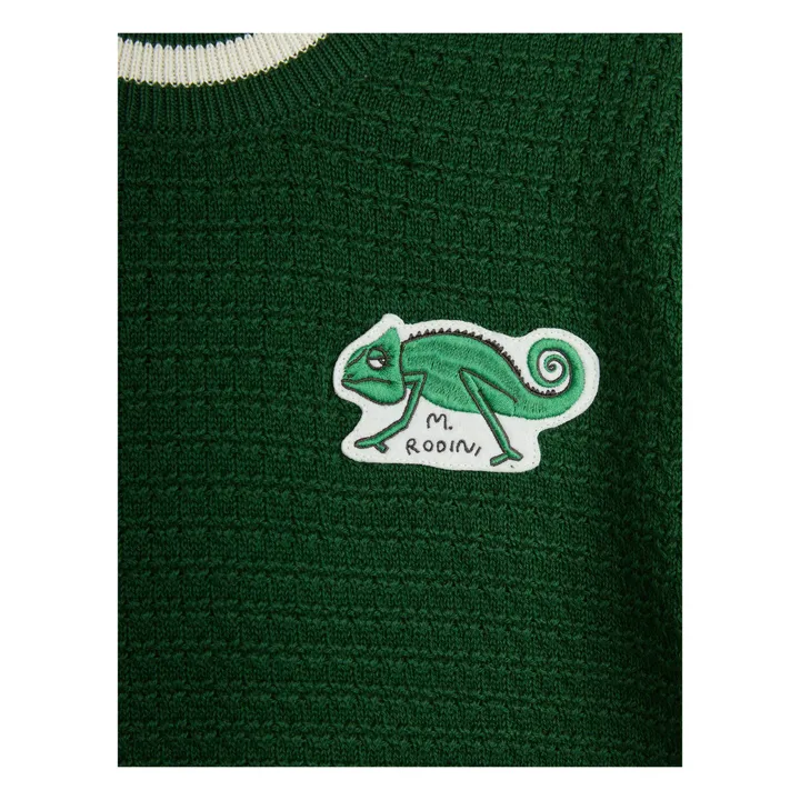 Pull Lézard Manches Courtes Coton Bio | Vert- Image produit n°2