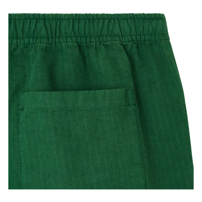 Rygybay shorts | Chrome green