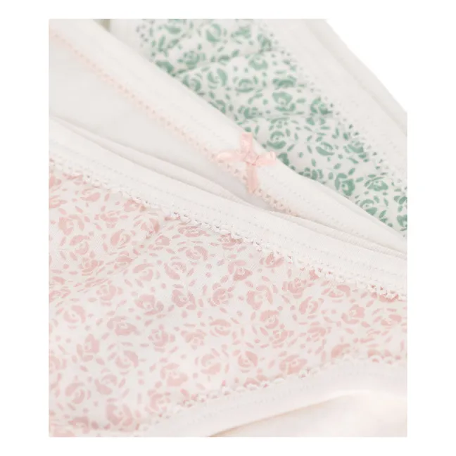 Set of 3 Naoshima Organic Cotton Panties | Ecru