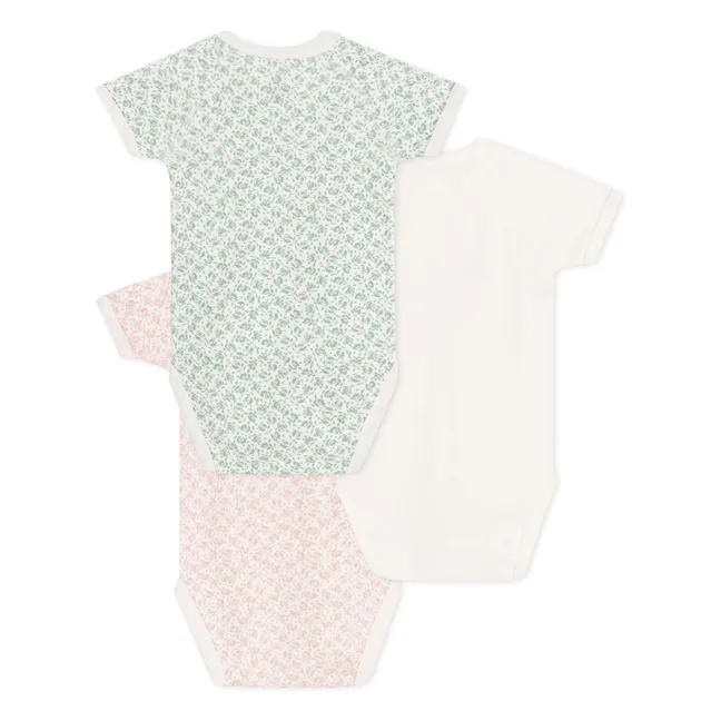 Lot 3 Bodies Naissance Naoshima Coton Bio | Ecru