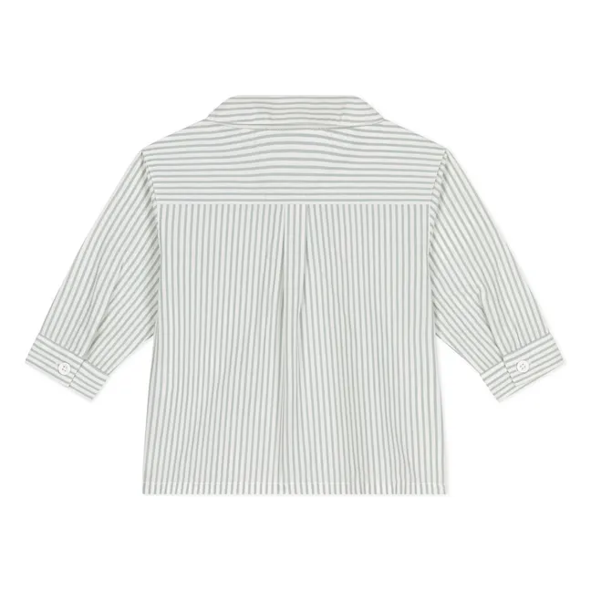 Camicia in cotone biologico Bertrand | Salvia