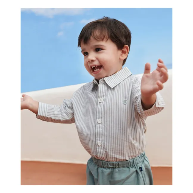 Camicia in cotone biologico Bertrand | Salvia
