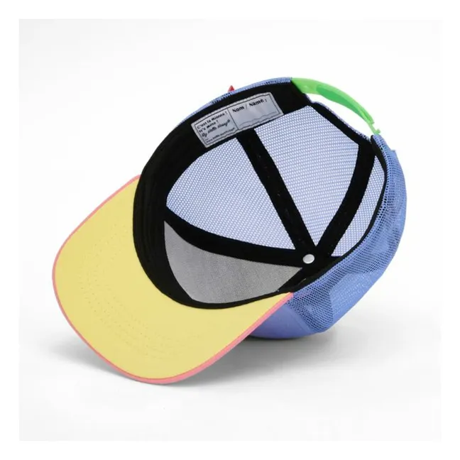 Trucker Fleet Curved Visor Cap | Blue