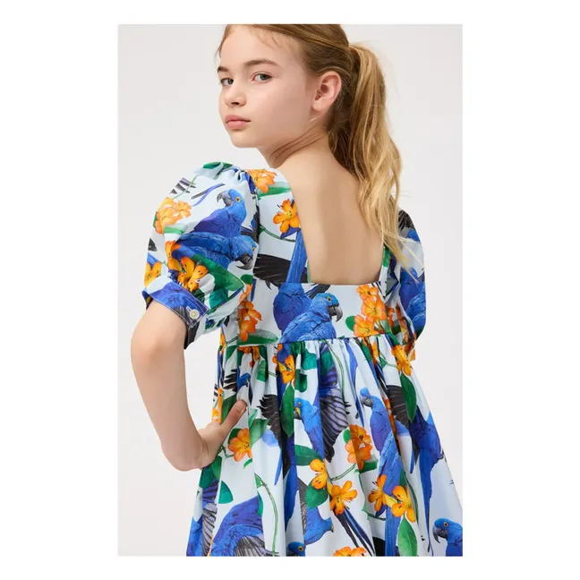 Robe Camilo Coton Bio | Bleu