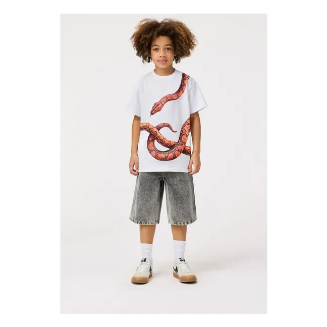 Alpha Shorts | Grau