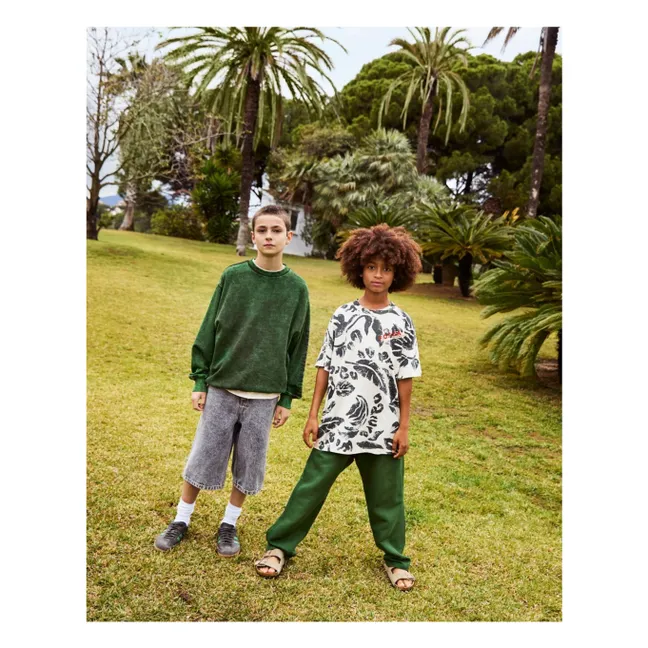 Alpha Shorts | Grau