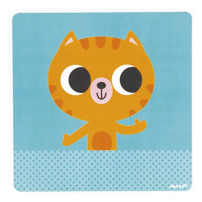 Le petit chat des rituels