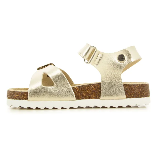 Sandalias Memo Sweet | Dorado