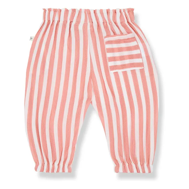 Zoe pants | Coral
