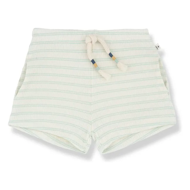 Pantalones cortos Stela | Verde agua